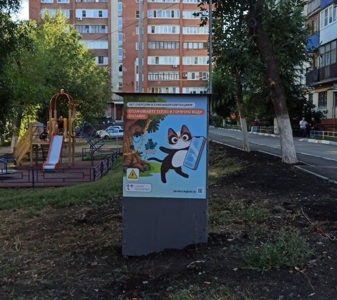 Кошки в Новокуйбышевске